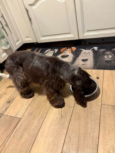 Fressen klappt sehr gut