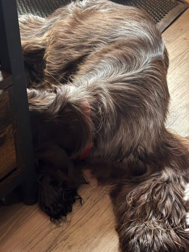 und dann auch mal ausruhen von den vielen Eindrücken