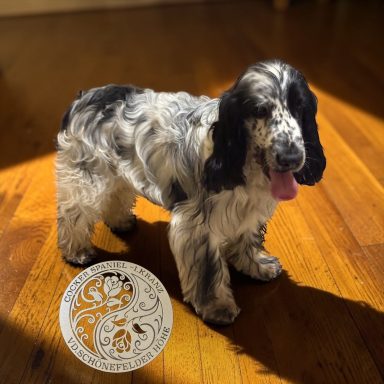 Spielen und alles kennen lernen ist jetzt wichtig