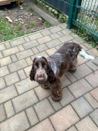 einmal das Gelände kennen lernen