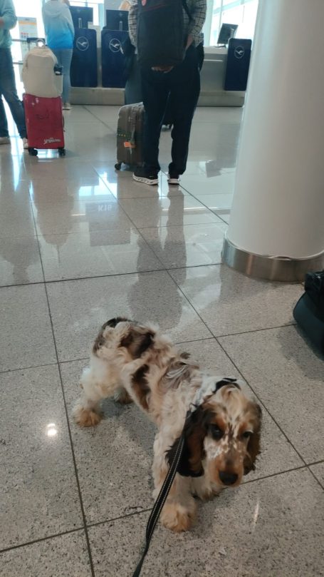 am Flughafen